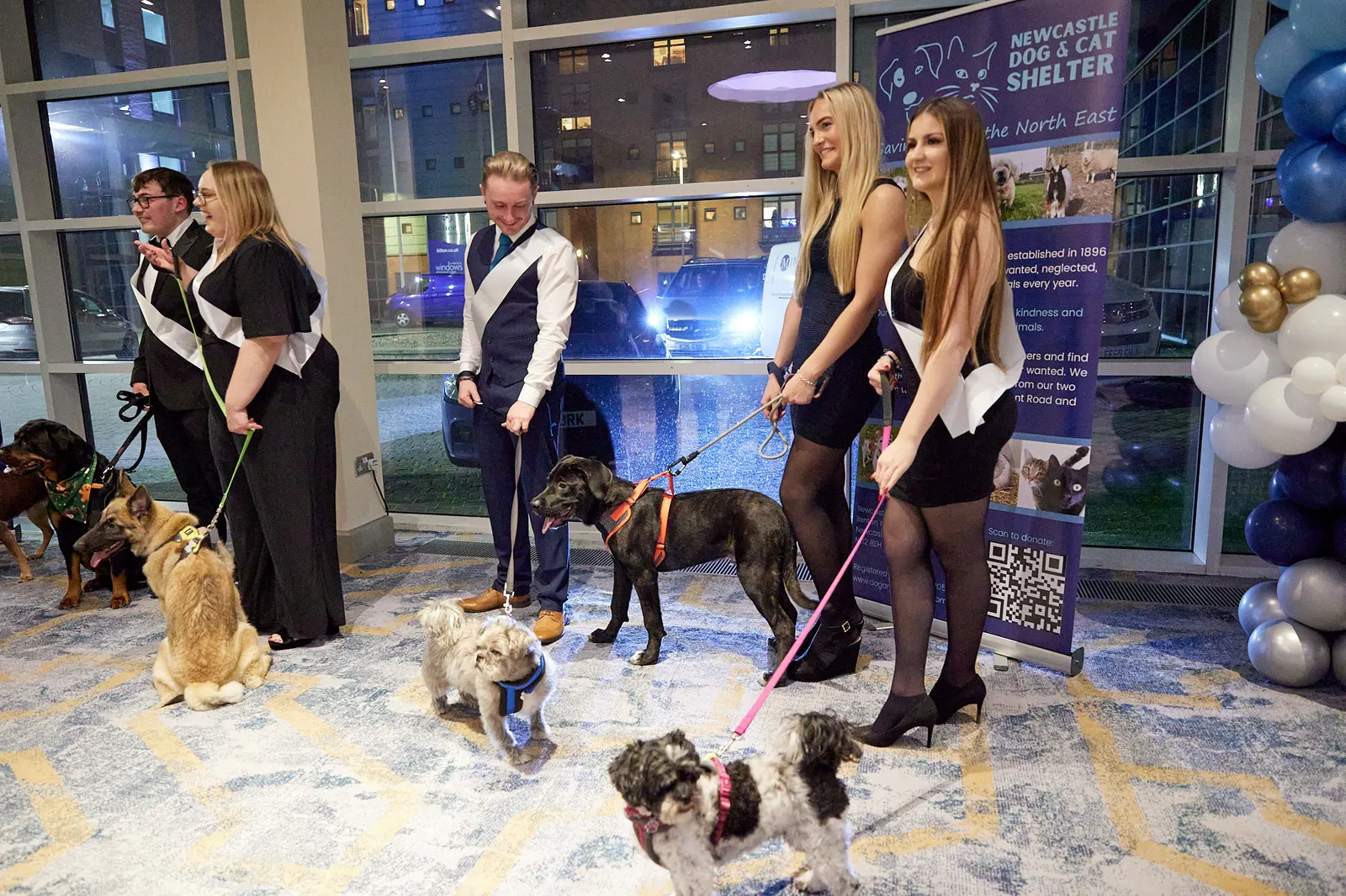Rescue dogs on leads greeting guests at a Newcastle charity ball