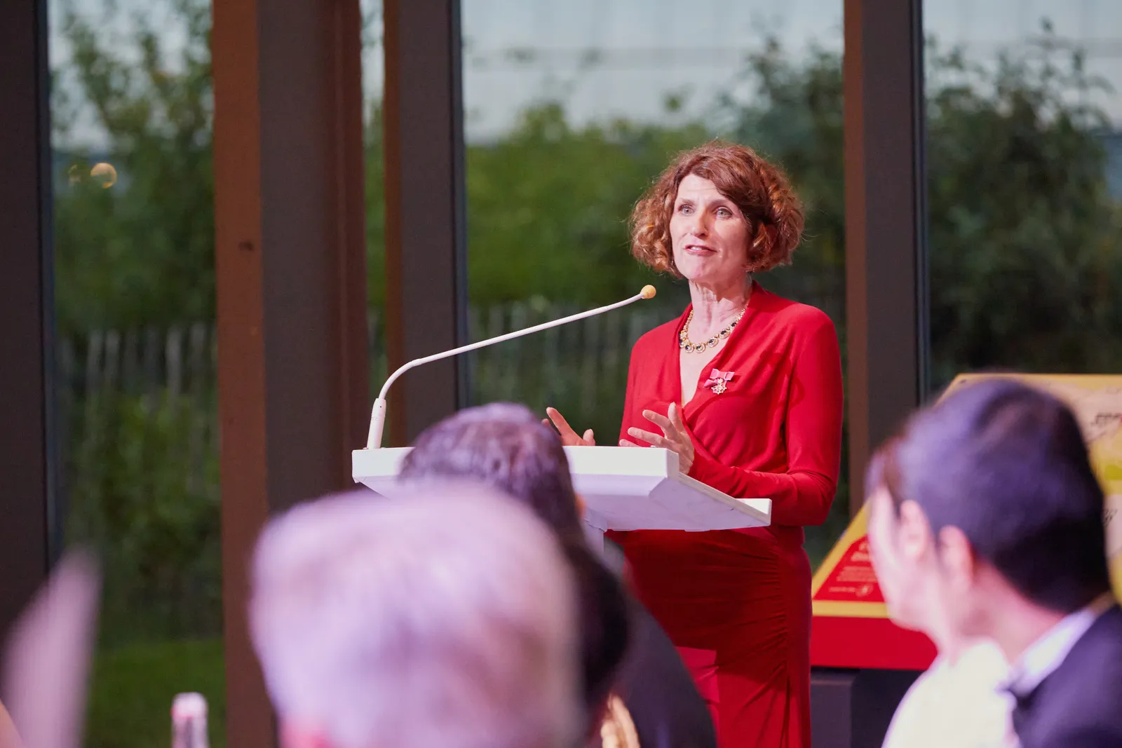 Speaker addressing guests at a charity gala